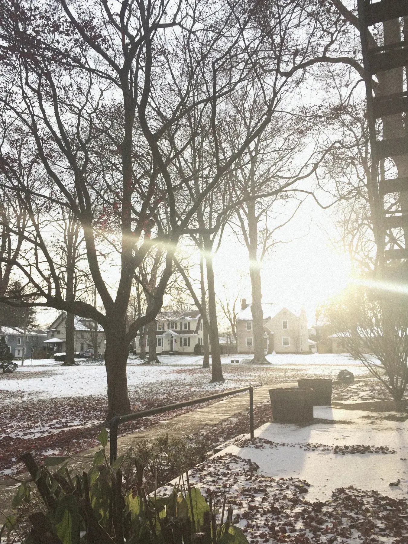 Winter porch with sun flare through bare branches