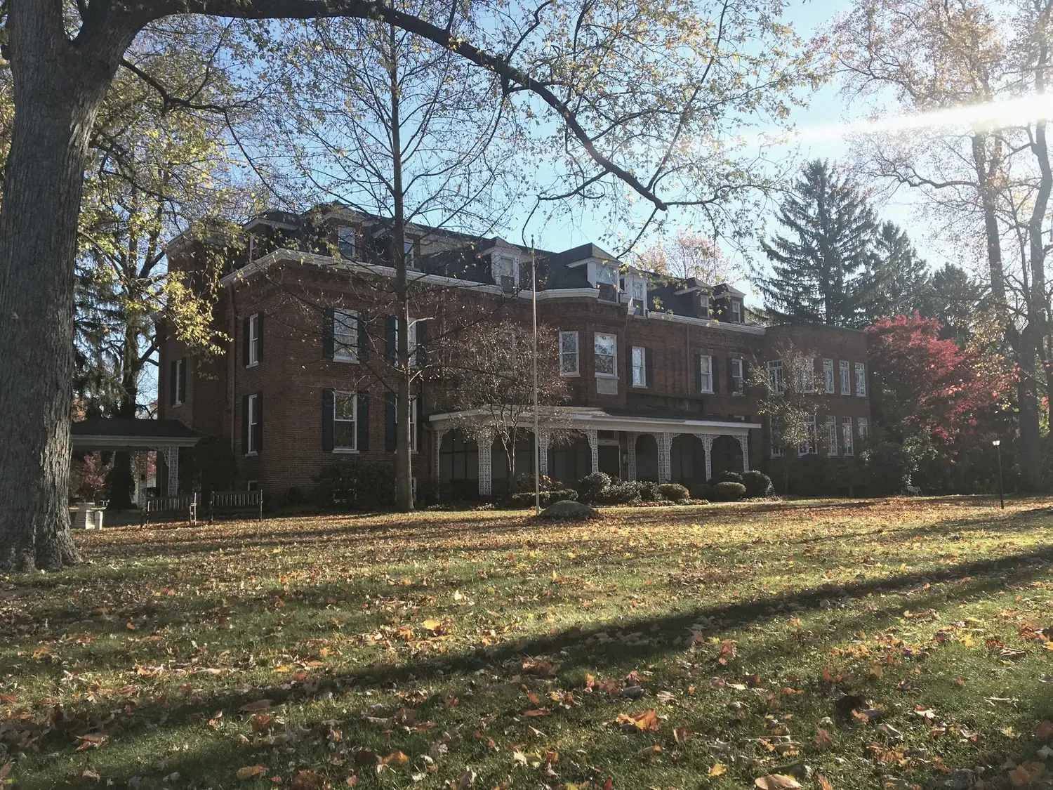 Autumn exterior with golden lawn and low sun