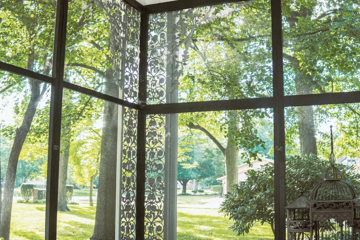 Ornate ironwork veranda beneath mature trees