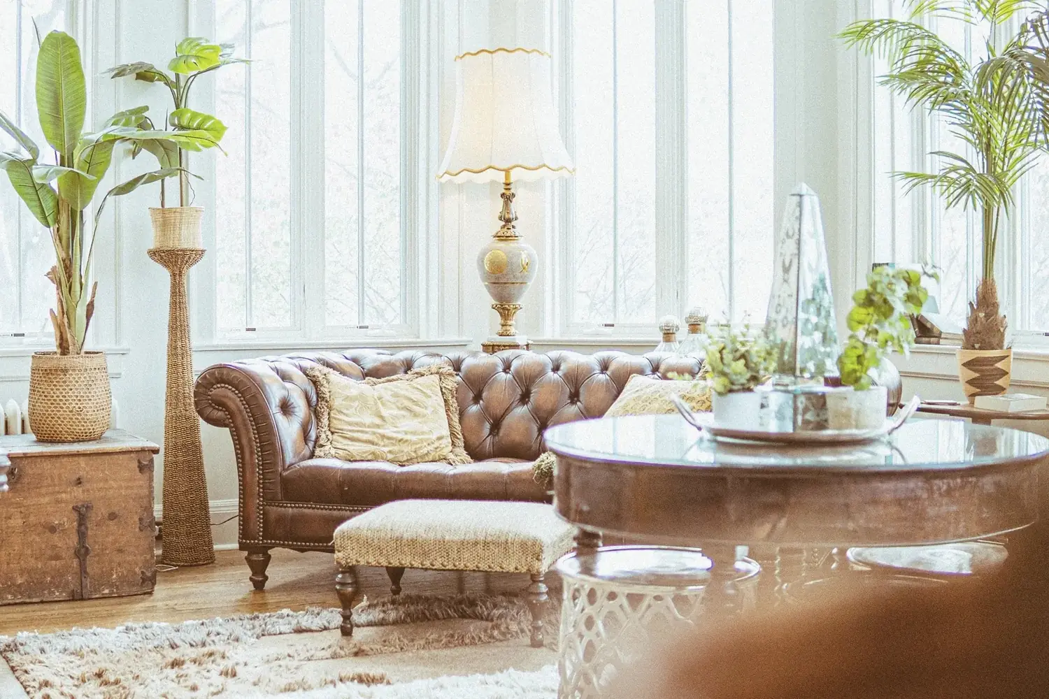 Leather Chesterfield in bright sunroom with plants